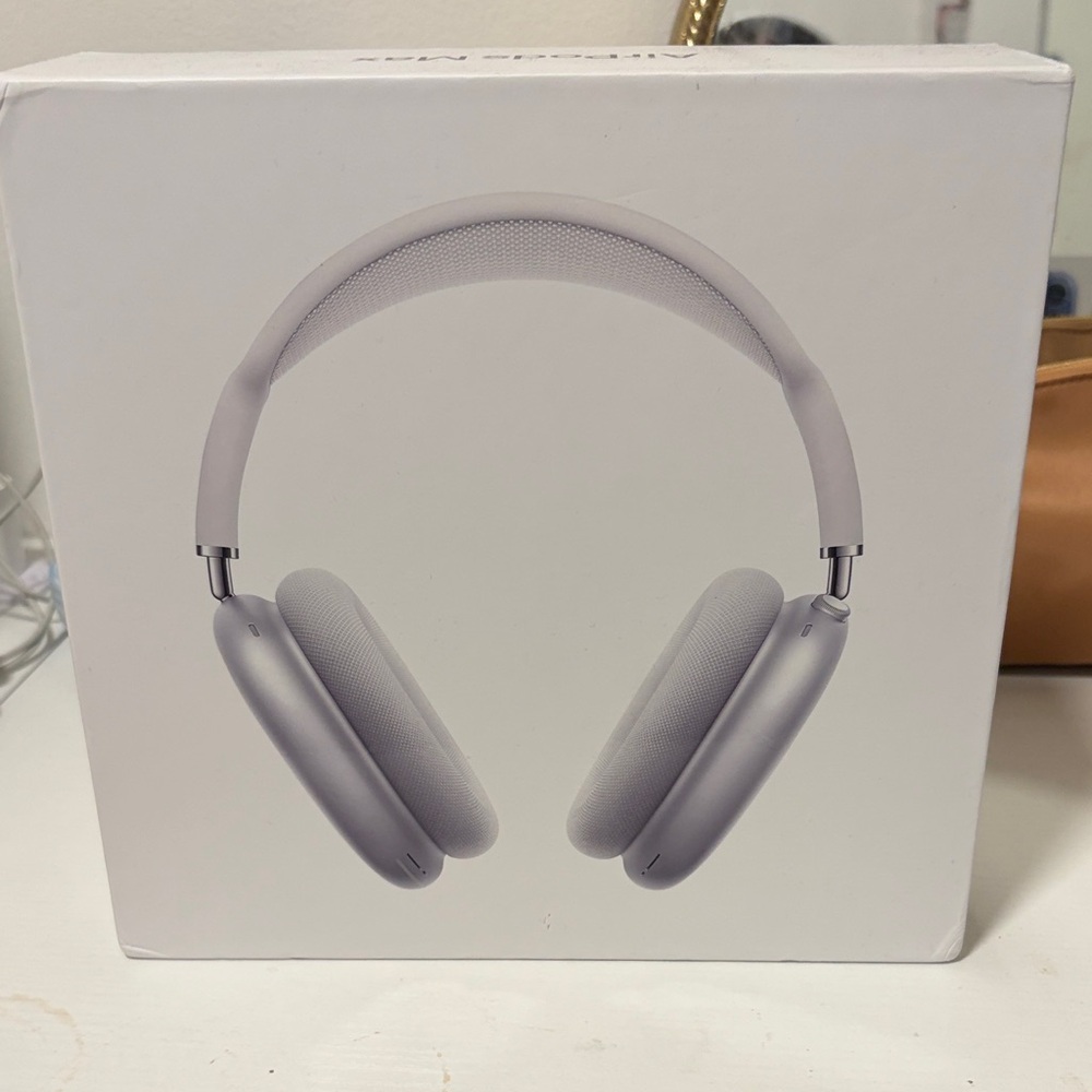 Apple Headphones in Sleek Silver